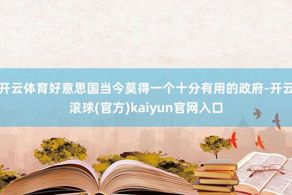 开云体育好意思国当今莫得一个十分有用的政府-开云滚球(官方)kaiyun官网入口